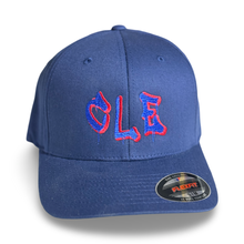 Load image into Gallery viewer, CLE