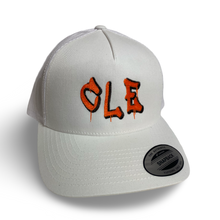 Load image into Gallery viewer, CLE