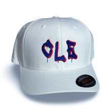 Load image into Gallery viewer, CLE